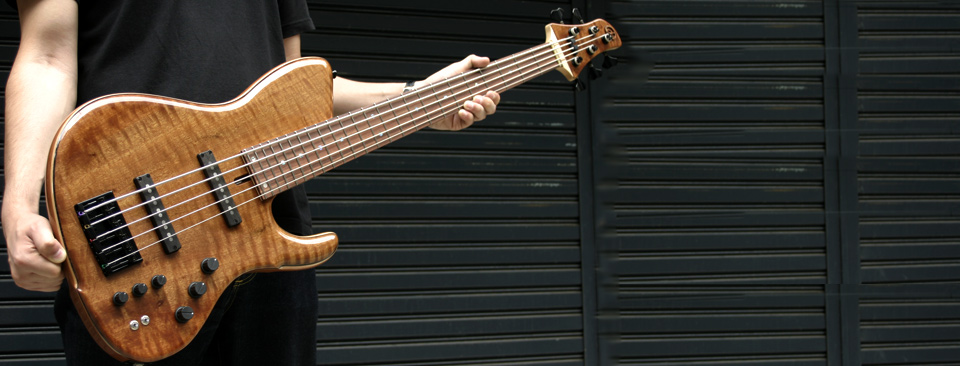 dragonfly Basses Order Made! - Bass Japan Direct - Japan's